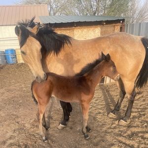 Meet your Posher, Marcos